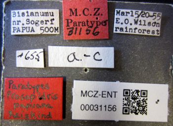 Media type: image;   Entomology 31156 Aspect: labels